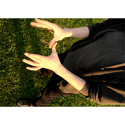 Totems by Barbu Magic - - Video Download