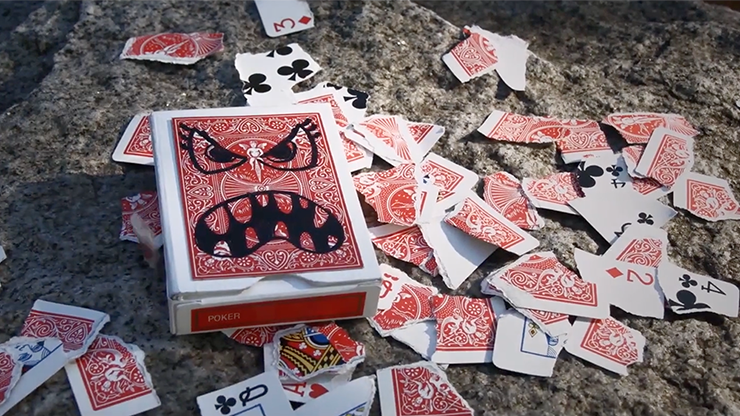Devour (with DVD and Gimmick) by SansMinds Creative Lab