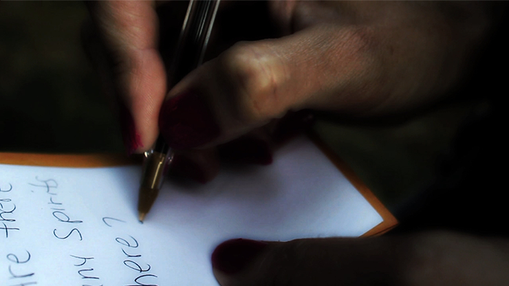 Pen-nomenon by Steven X
