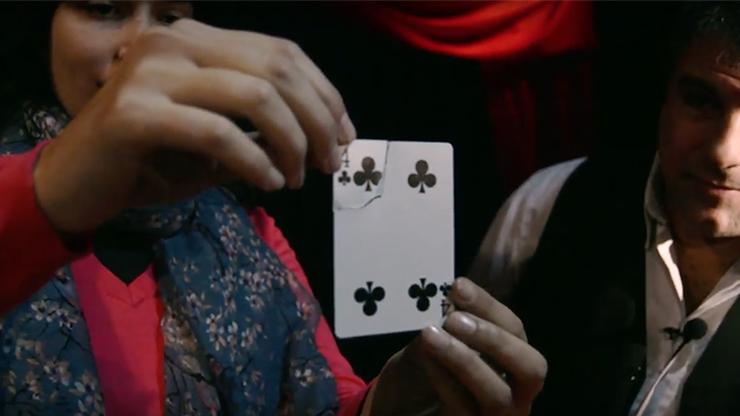 Torn Card Evolution, TCE by Juan Pablo