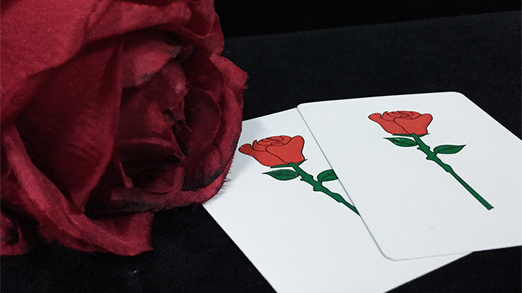 Rosy by Magic Eye & Magiclism
