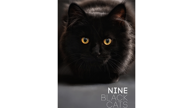 Nine Black Cats by Neema Atri - ebook