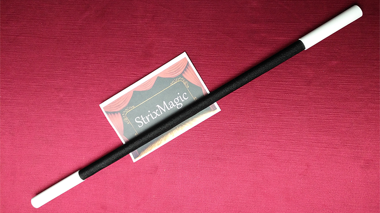 Wilting Magic Wand by Strixmagic