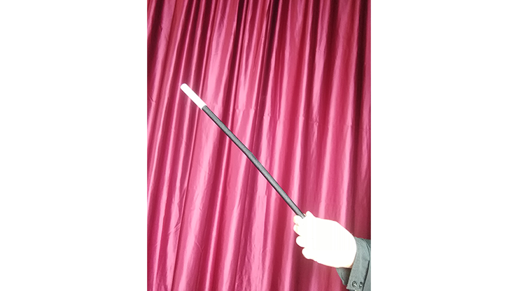 Wilting Magic Wand by Strixmagic