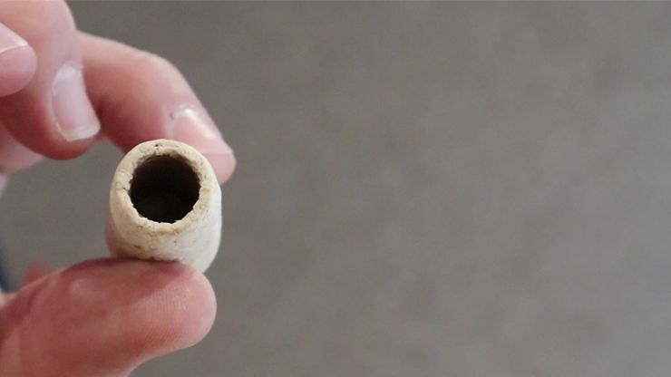 Unicorn Cork by Nick Einhorn