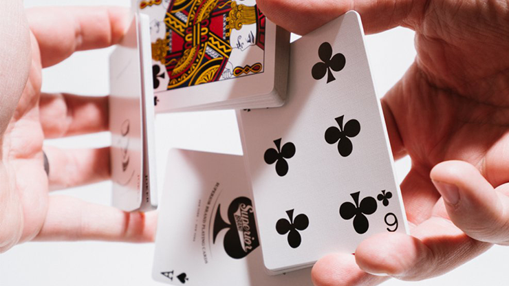 Superior Skull & Bones V2, Red/Silver Playing Cards by Expert Card Magic Co.
