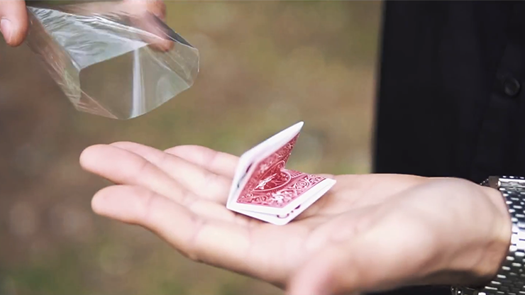 Uncatchable by Olivier Pont - Video Download