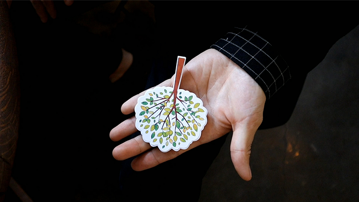 Orange Tree, Gimmick and Online Instructions by Hugo Choi
