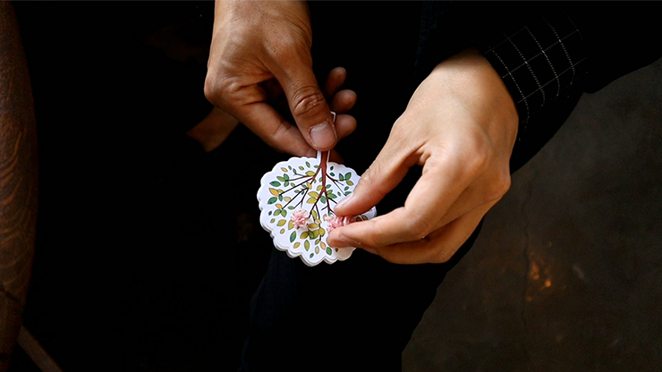Orange Tree, Gimmick and Online Instructions by Hugo Choi