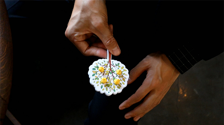 Orange Tree, Gimmick and Online Instructions by Hugo Choi