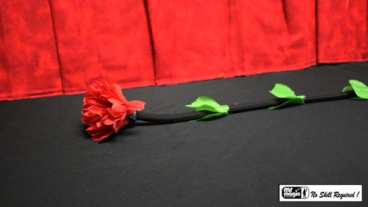 Fresh Flower by Mr. Magic