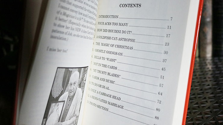 The Diary of a Magicians wife by Geraldine Conrad Larsen