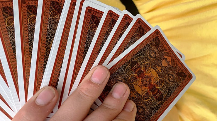 Bicycle Beekeeper Playing Cards, Dark