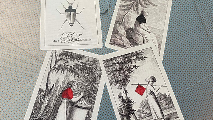 Cotta';s Almanac #1 Transformation Playing Cards