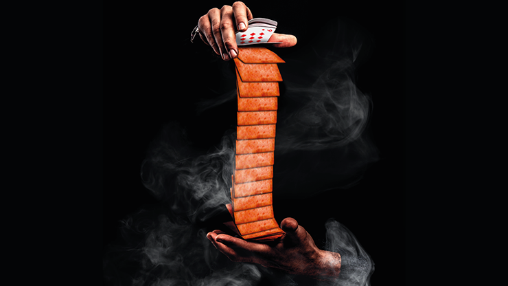 The Sandwich Series, Luncheon Meat Playing Cards