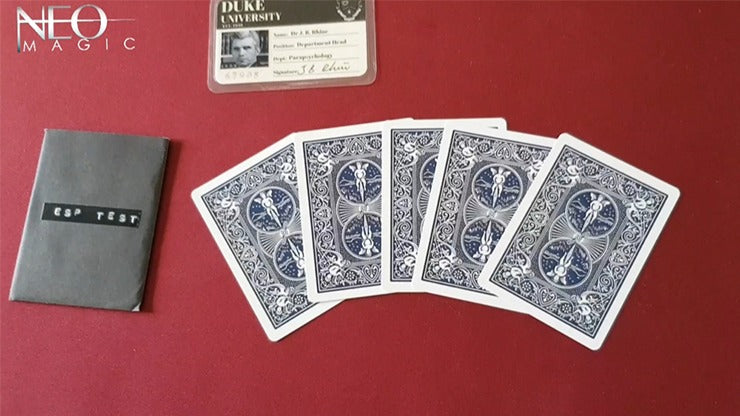 Intuition, Gimmicks and Online Instructions by Vinny Sagoo