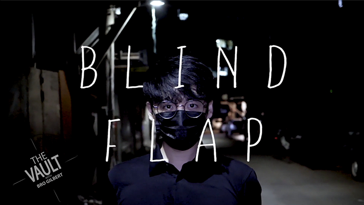 The Vault - Blind Flap Project by PH and Mario Tarasini - Video Download