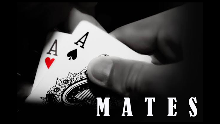 MATES by Dibya Guha - Mixed Media Download