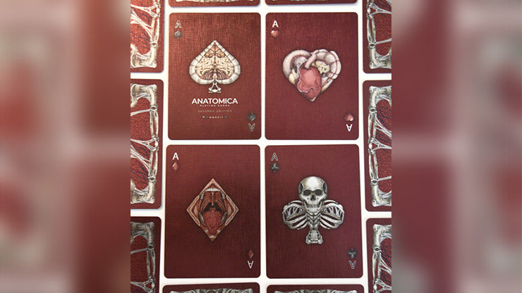 Alterna Playing Cards