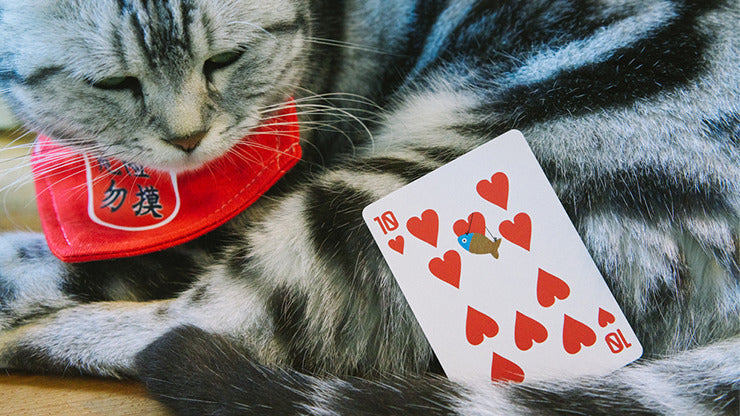 Meow Star Playing Cards by Bocopo