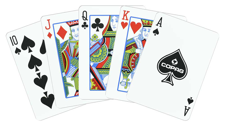 Copag 1546 Plastic Playing Cards Poker Size Regular Index Black and Gold Double-Deck Set