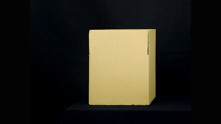 AMAZING CARTON by 7 MAGIC