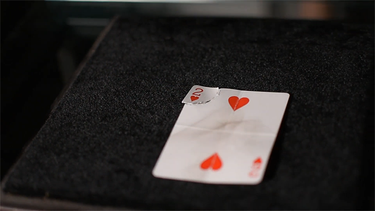 Phoenix, Blue - Sirus Magic & Premium Magic Store