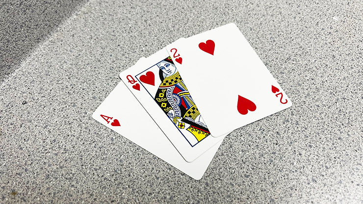 Bicycle 2 Faced Blue, Mirror Deck Same Both Sides Card Magic