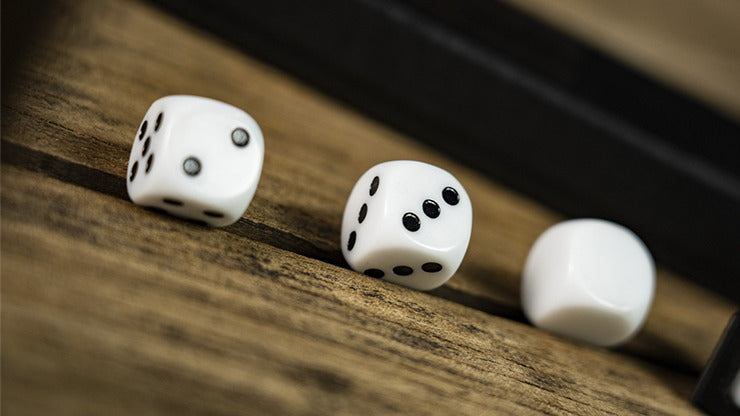 DALMATIAN by TCC