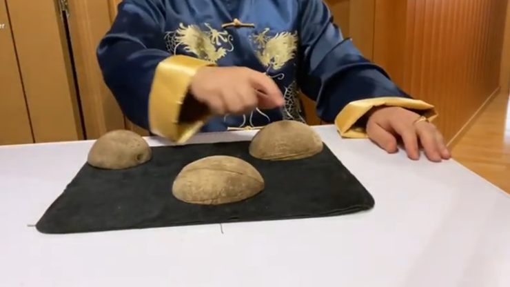 Coconut's Pepegyver by Jose Cruz González - Video Download
