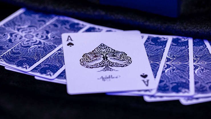 Apostles Playing Cards, Deck and Online Instructions by Luke Jermay