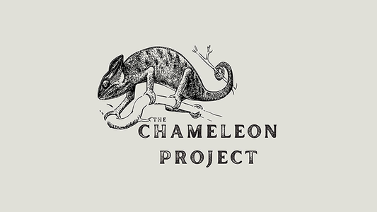 The Chameleon Project by Michael Shaw video (Download)