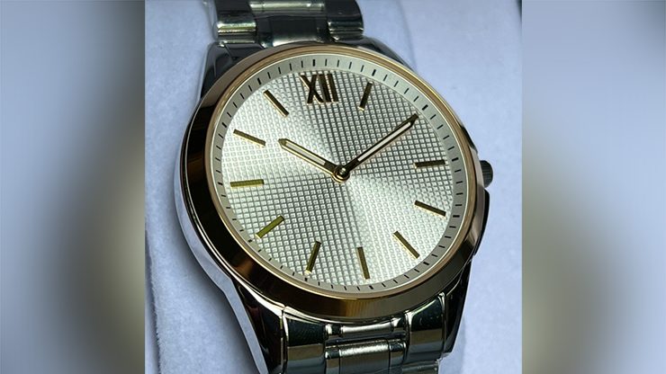 SB Watch Steel Limited Edition, White by Andrs Brthzi and Electricks