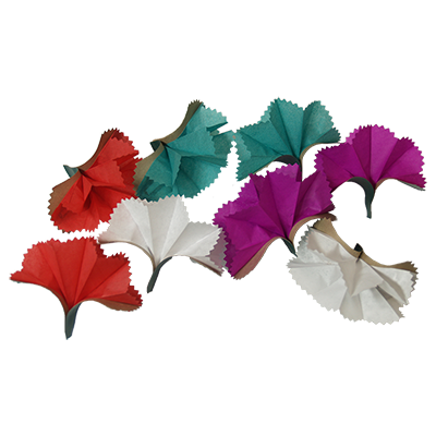 Bare Hand Spring Flower, 16 by Premium Magic
