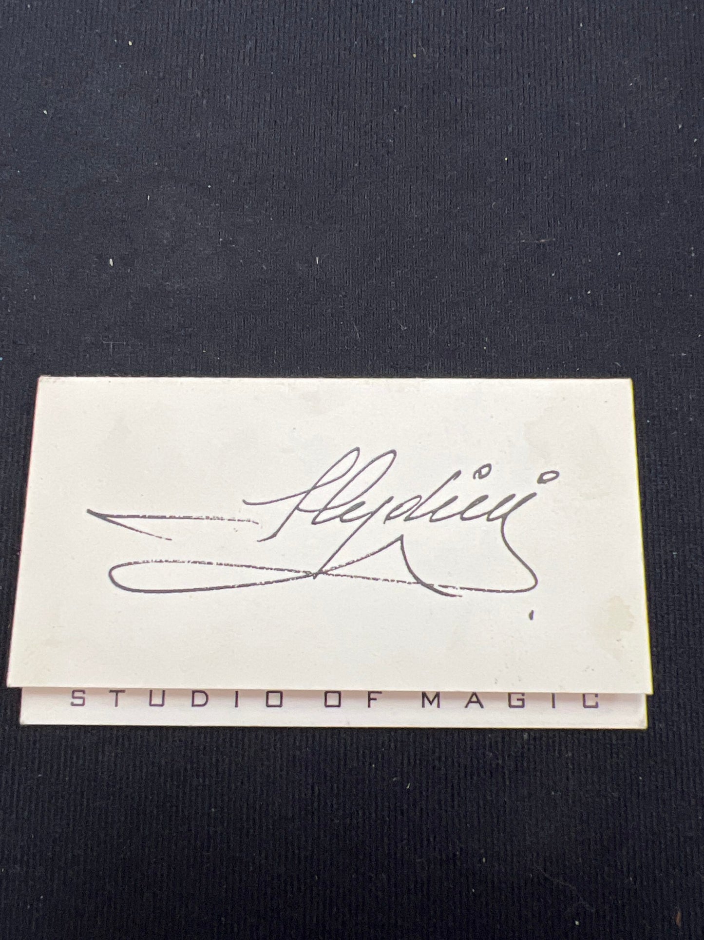 Slydini Business Card