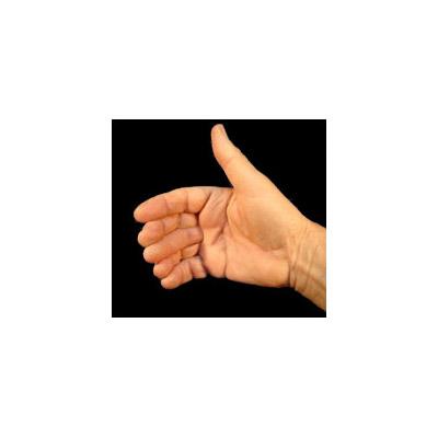 Sixth Finger Vernet, large