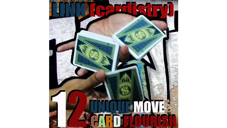 LINK (Cardistry Project) by SaysevenT - Video Download