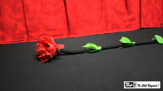 Fresh Flower by Mr. Magic