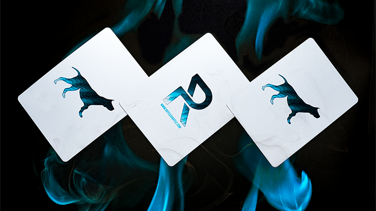 Sirius B V3 Playing Cards by Riffle Shuffle -Limited