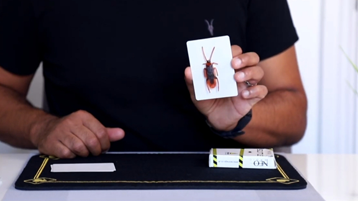 Scuttle, Gimmicks and Online Instructions by Vinny Sagoo