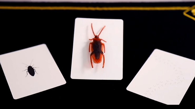 Scuttle, Gimmicks and Online Instructions by Vinny Sagoo