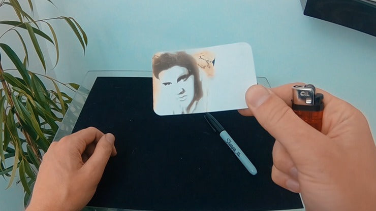 Celebrity Scorch, Tom Cruse & Elvis by Mathew Knight and Stephen Macrow