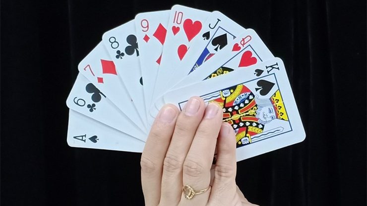 REVERSE CARD by JL Magic