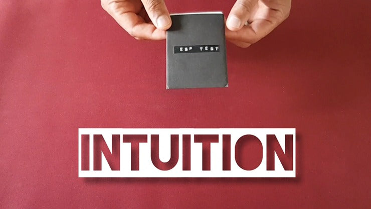 Intuition, Gimmicks and Online Instructions by Vinny Sagoo
