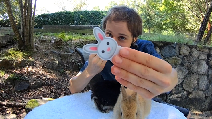 HIPP HOPP RABBIT, 2pk by Rocco & Shaun Jay