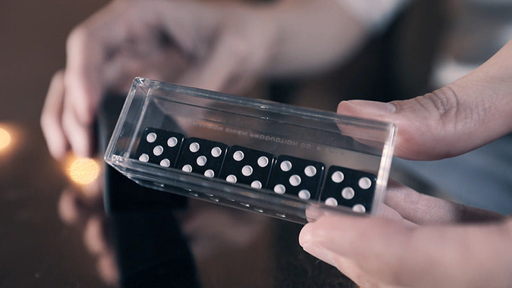 Sonic Dice, With Online Instructions by Hanson Chien