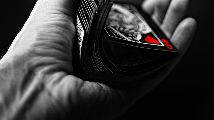 Bicycle Black Tiger Red Playing Cards