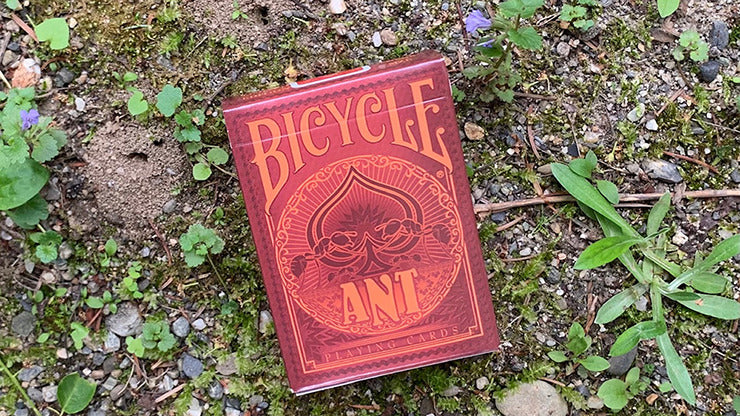 Gilded Bicycle Ant, Red Playing Cards