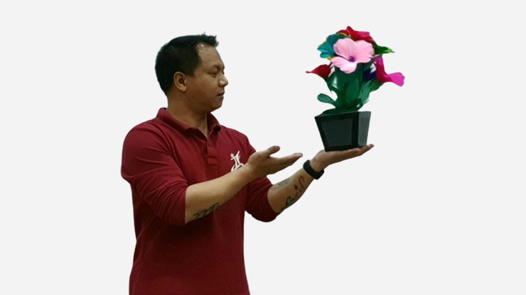 Flower Pot V2 to Blendo, HAPPY BIRTHDAY by JL Magic