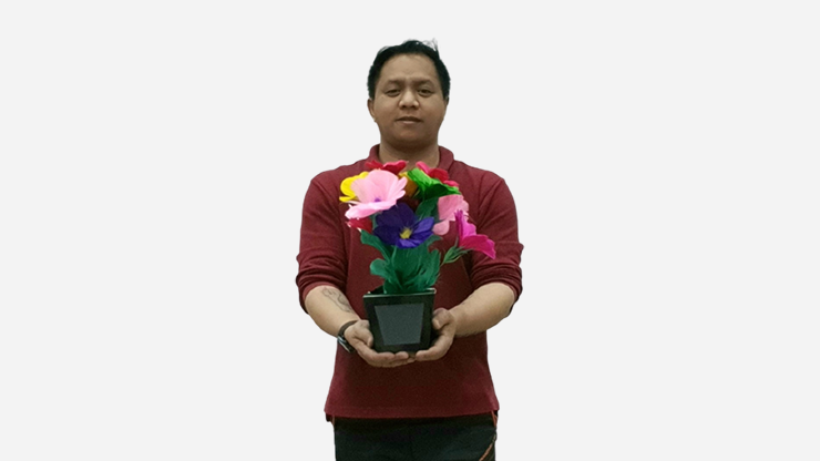Flower Pot V2 to Blendo, HAPPY BIRTHDAY by JL Magic